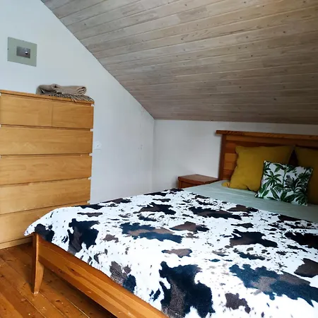 Old Town Apartment